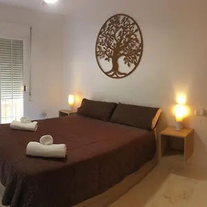https://todimer-marina-adriana.es-andalucia.com